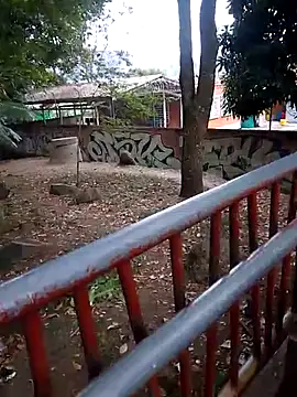 FeloBad online show from June 1, 10:10 pm