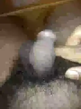 Small dick     online show from December 1, 8:45 pm