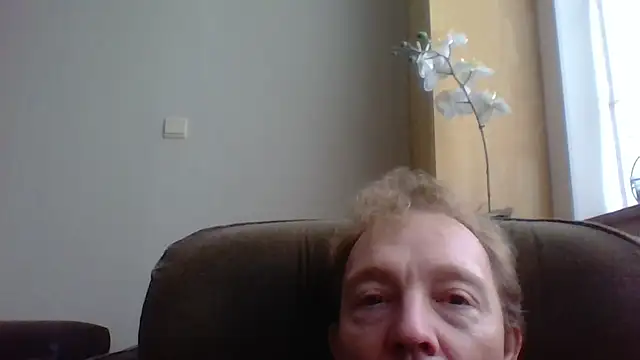 bertolini online show from December 14, 2:35 pm