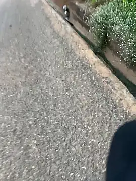 Black-mamba-madingo online show from April 16, 6:13 am