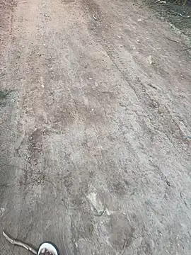 Black-mamba-madingo online show from November 1, 4:11 pm