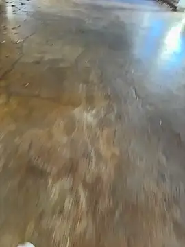 Public sexyxxx online show from December 16, 1:29 pm