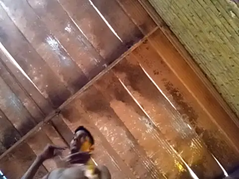 Pablunt-rap online show from November 14, 2:18 pm