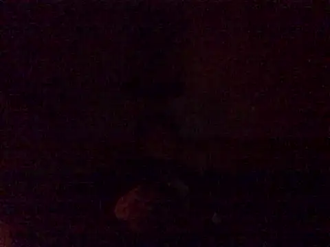 DragonPink online show from December 24, 12:11 am