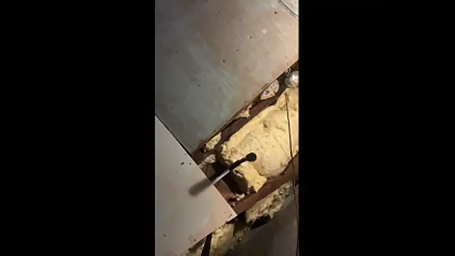 Manwhorxxlcock online show from March 3, 10:33 am