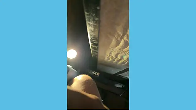 pipeload1275 online show from November 20, 8:24 am