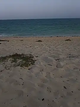 blacks couples online show from February 3, 3:06 pm