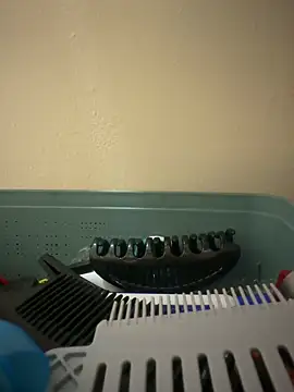 Papilobo12 online show from April 4, 1:35 am