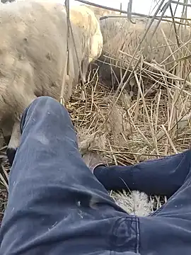 murokkk31 online show from October 29, 9:34 am