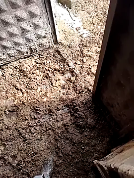 murokkk31 online show from March 26, 11:36 am