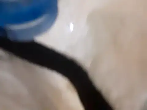 pedrodavid  online show from March 14, 12:10 am