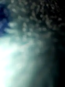 slawlargo01 online show from February 18, 8:01 am