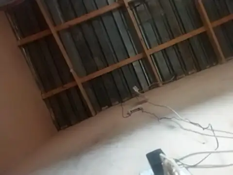 Tshidiso7 online show from January 11, 4:44 pm