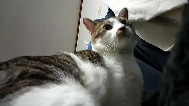 07YUKIO online show from April 13, 3:23 pm