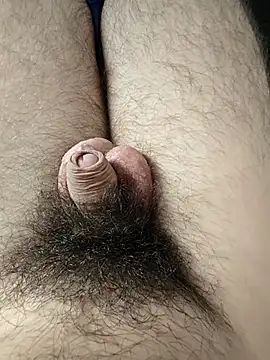 hungarian dick online show from January 19, 11:56 am