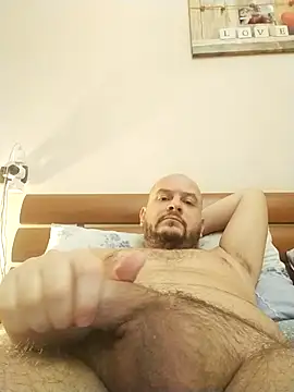 user 662 online show from February 10, 11:37 am