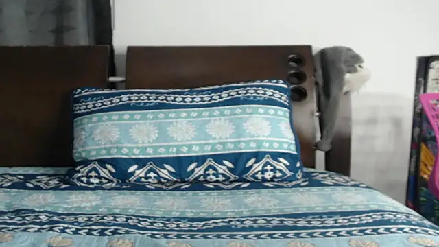 Tobicutee online show from February 5, 4:19 am