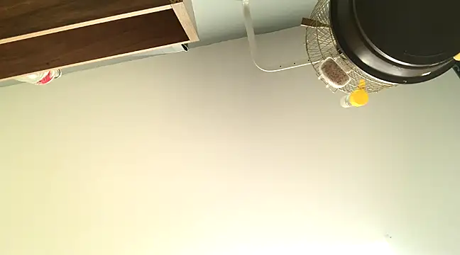 themany29 online show from January 27, 8:17 pm