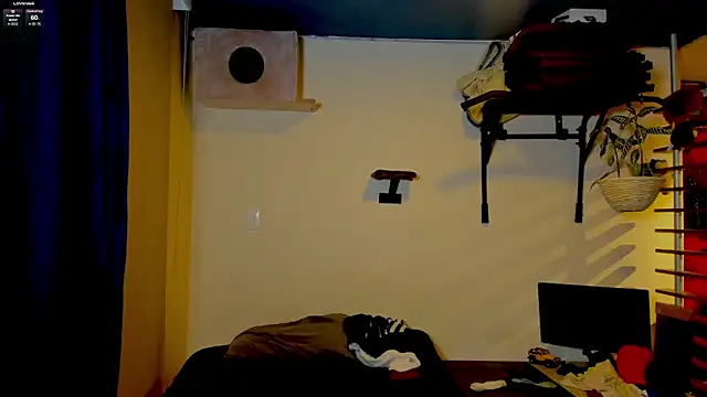 leondevereda online show from January 17, 12:24 am