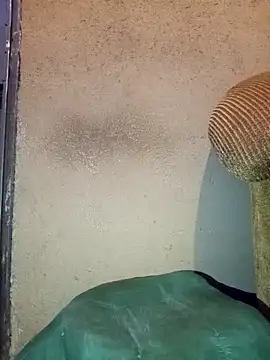 Thickcockzivyy online show from February 20, 12:40 am