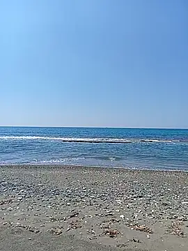 dhaadhawe online show from April 20, 8:06 am