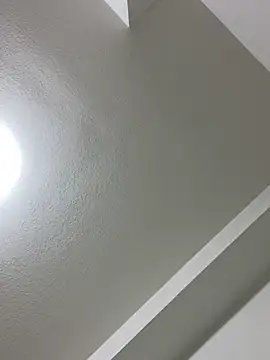 Snapshot of islandvybee55 chatting on March 3, 3:50 am islandvybee55 online show from March 3, 3:50 am