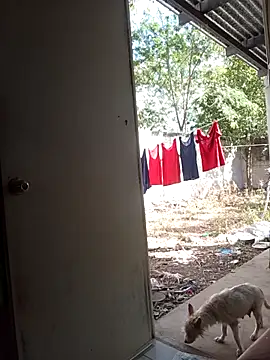 Andresguz35 online show from February 8, 8:24 pm