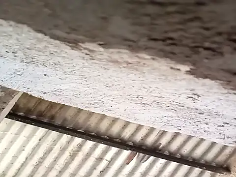 strip 1212 online show from November 15, 4:31 pm