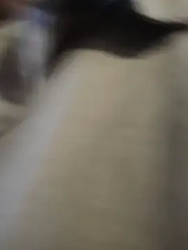 heartless  95 online show from November 27, 5:22 am