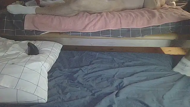 Snapshot of arrow13680 chatting on September 14, 3:08 am arrow13680 online show from September 14, 3:08 am