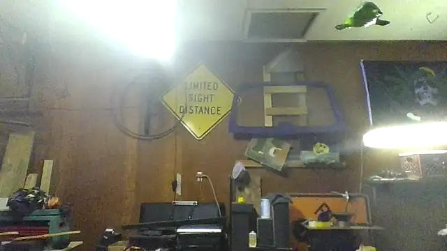 clitstitsandbongrips online show from November 16, 12:02 am