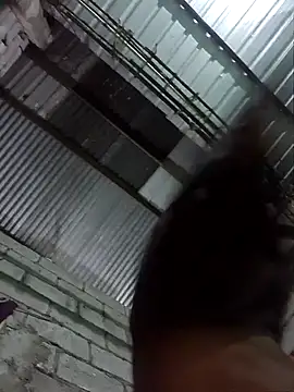 Reynold2608 online show from January 18, 12:01 am