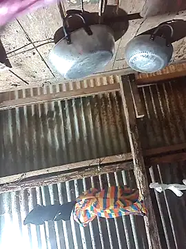 Reynold2608 online show from December 17, 11:44 pm