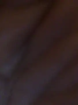 Inseminator69 online show from December 14, 11:07 am