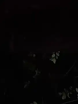 tripexnte online show from February 23, 8:44 am