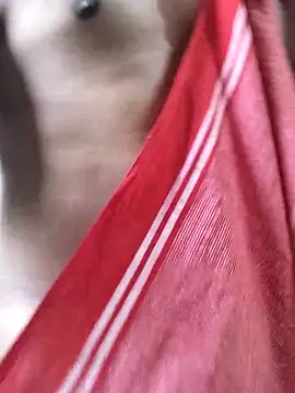 sinsbbi9 online show from November 16, 11:34 am