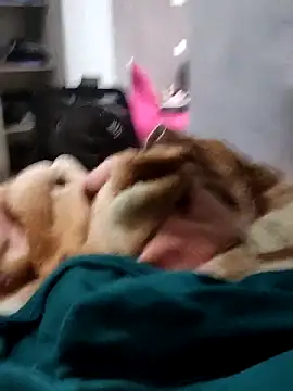 Juliano69xv online show from January 15, 12:42 pm