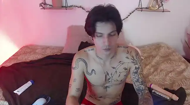 Apolo Hidalgo01 online show from January 6, 4:13 pm