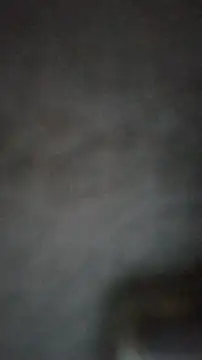 axelongshaft69 online show from February 25, 3:49 pm