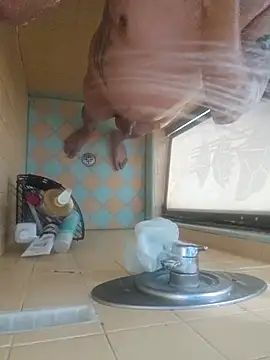 nakedtony81 online show from March 4, 10:44 am