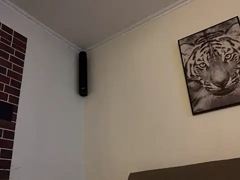 mesetti online show from January 13, 7:21 pm