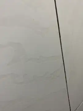 picatorta19 online show from December 17, 6:25 pm