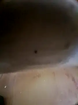 hot telugu dickK07 online show from May 20, 6:31 am