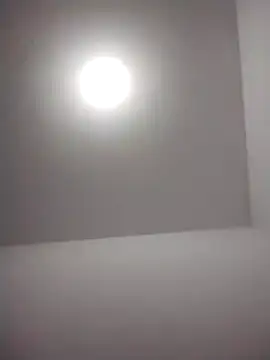 barboza991 online show from December 20, 12:30 am