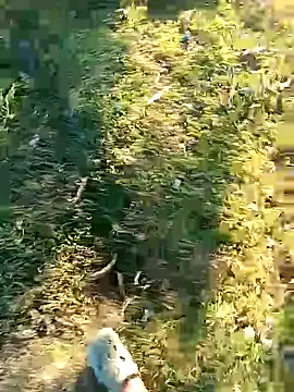 Misbion online show from November 18, 9:46 am