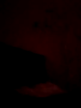 Snapshot of SisterlyFarmhand chatting on October 7, 7:45 am SisterlyFarmhand online show from October 7, 7:45 am