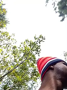 Snapshot of ElNegroRony chatting on December 11, 2:50 pm ElNegroRony online show from December 11, 2:50 pm