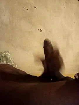 Lexwelll online show from February 17, 5:17 am