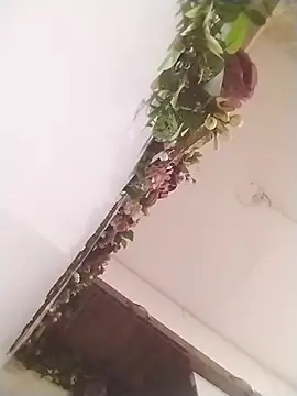 jenilmax online show from March 31, 1:24 pm