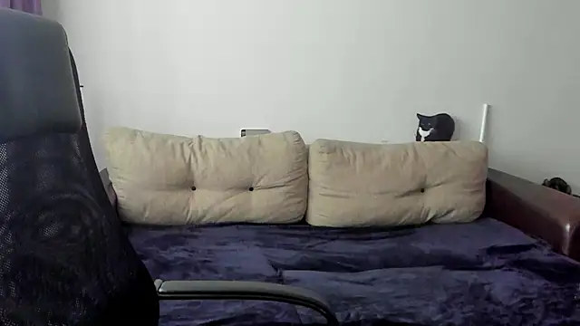 Ostin meow online show from November 15, 7:21 am